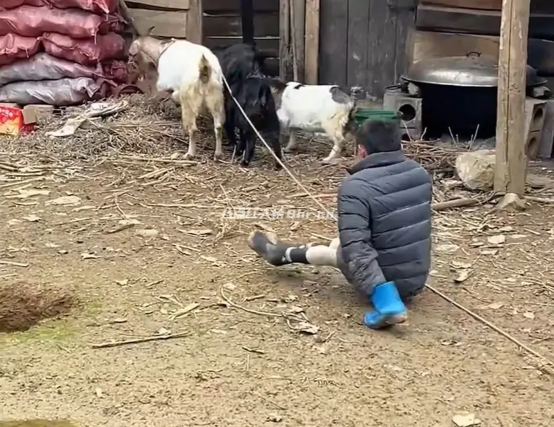 谢宗涛个人资料,天生残疾的他活出了顽强人生