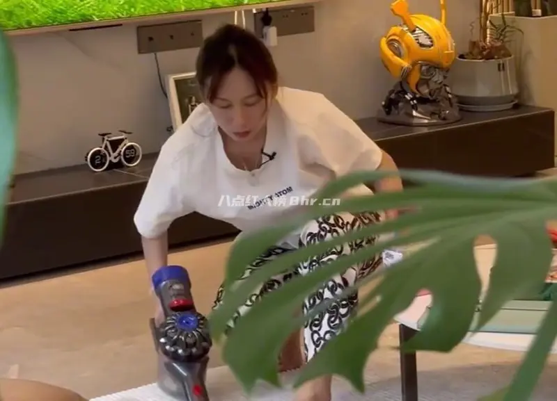 小凤弟弟高航和媳妇亚慧的精致生活