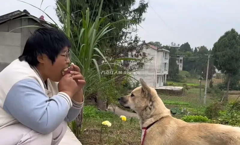 走进农村留守妇女郭家憨憨的日常生活