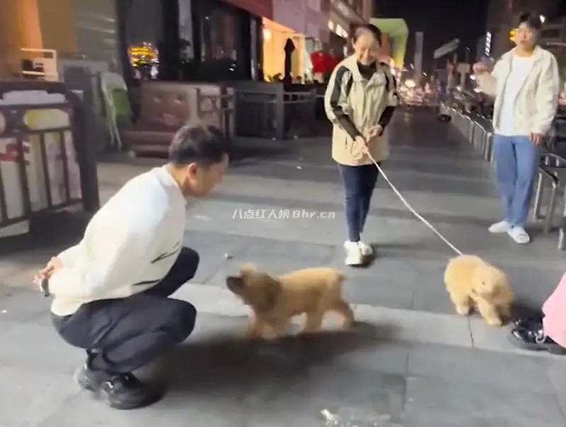 口技王子孔佳龙个人资料简介