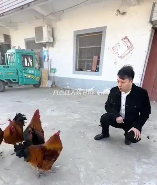 口技王子孔佳龙个人资料简介