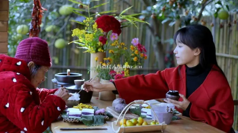 网红李子柒被坑事件是怎么回事