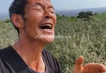 陕西农民剪树哥个人资料简介