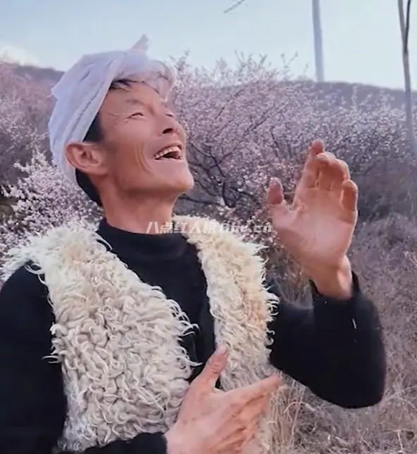 陕西农民剪树哥个人资料简介