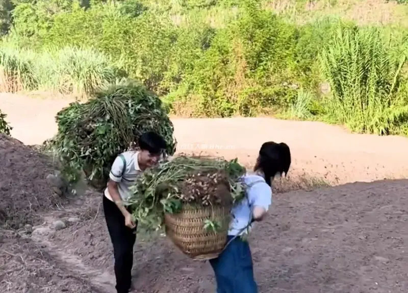 才女胡逗逗个人资料简介