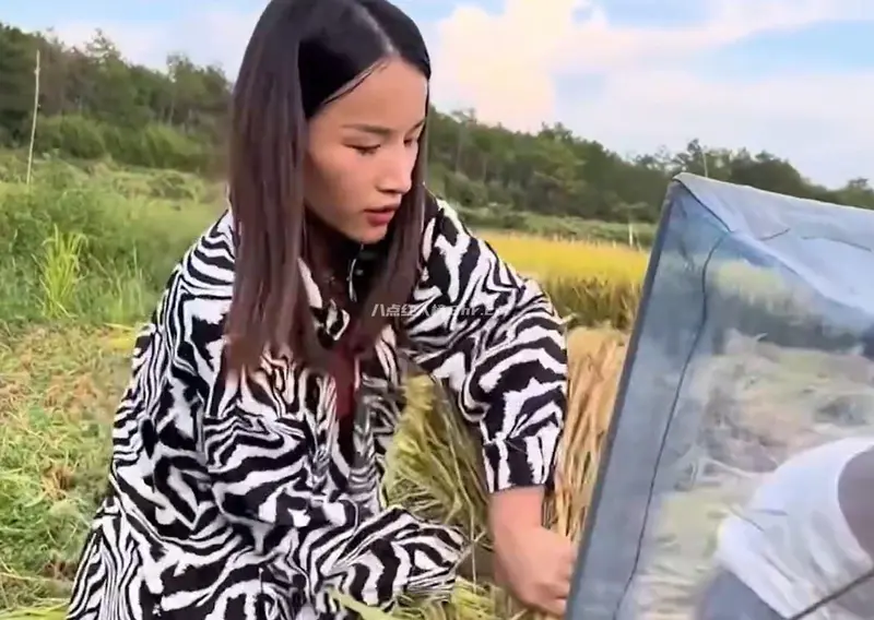 民间音乐人乞丐妹个人资料简介