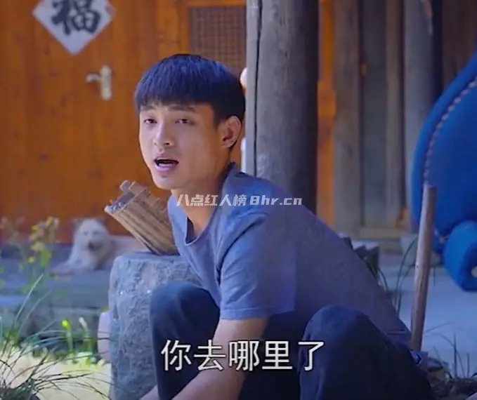 乡村道明寺阿丁和石村小月资料简介