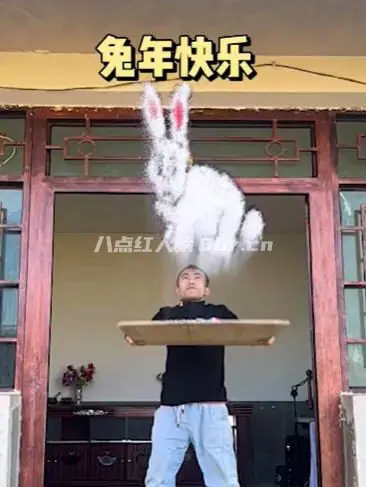 永哥抖字画个人资料和简介