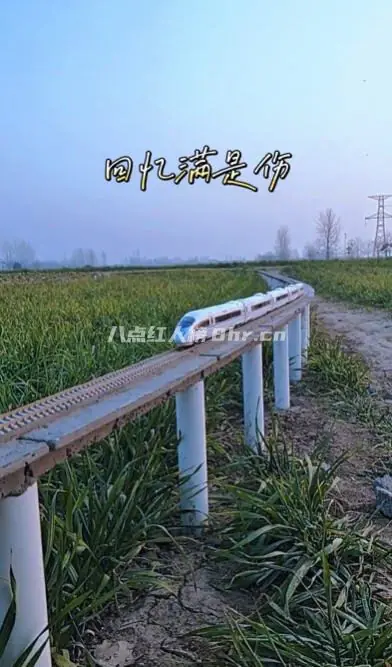 河南小伙微建张亚东个人资料简介