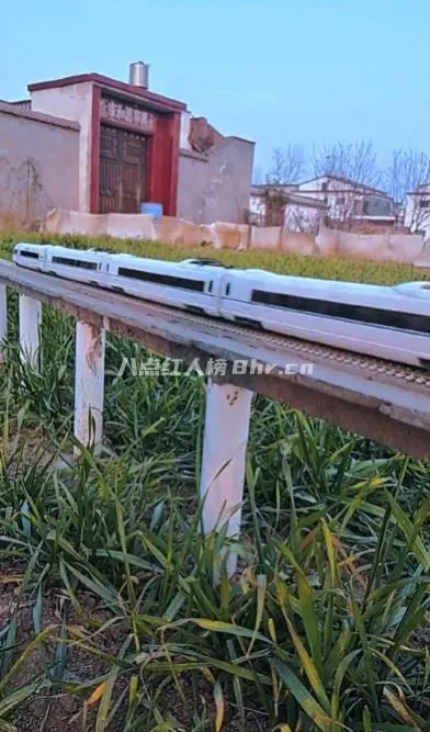 河南小伙微建张亚东个人资料简介