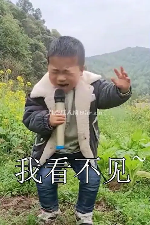 喜欢唱歌的农村山里娃个人资料简介