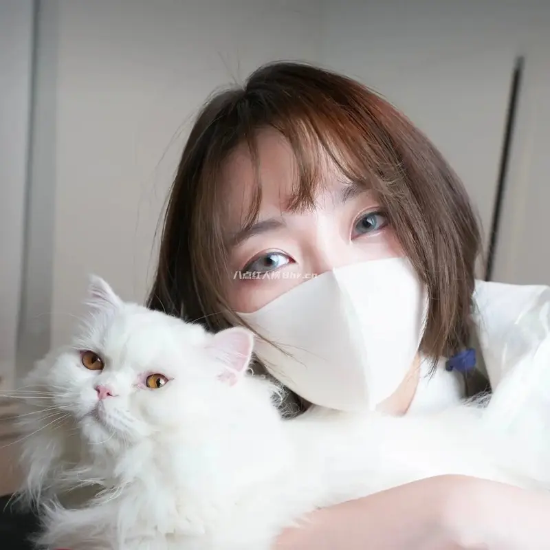 网红玩偶姐姐个人资料和简介