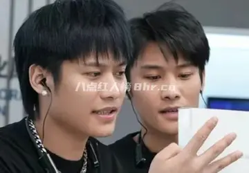 小杨哥兄弟俩毕业于什么学校