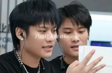 小杨哥兄弟俩毕业于什么学校