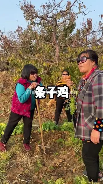 农村大妈王大姐来了资料和简介