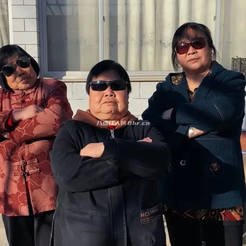 农村大妈王大姐来了资料和简介