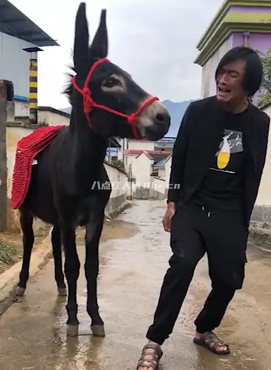 小伙靠学驴叫涨粉百万