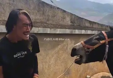 小伙靠学驴叫涨粉百万