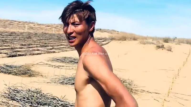 治沙人王金资料简介