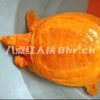 抓鱼小红
