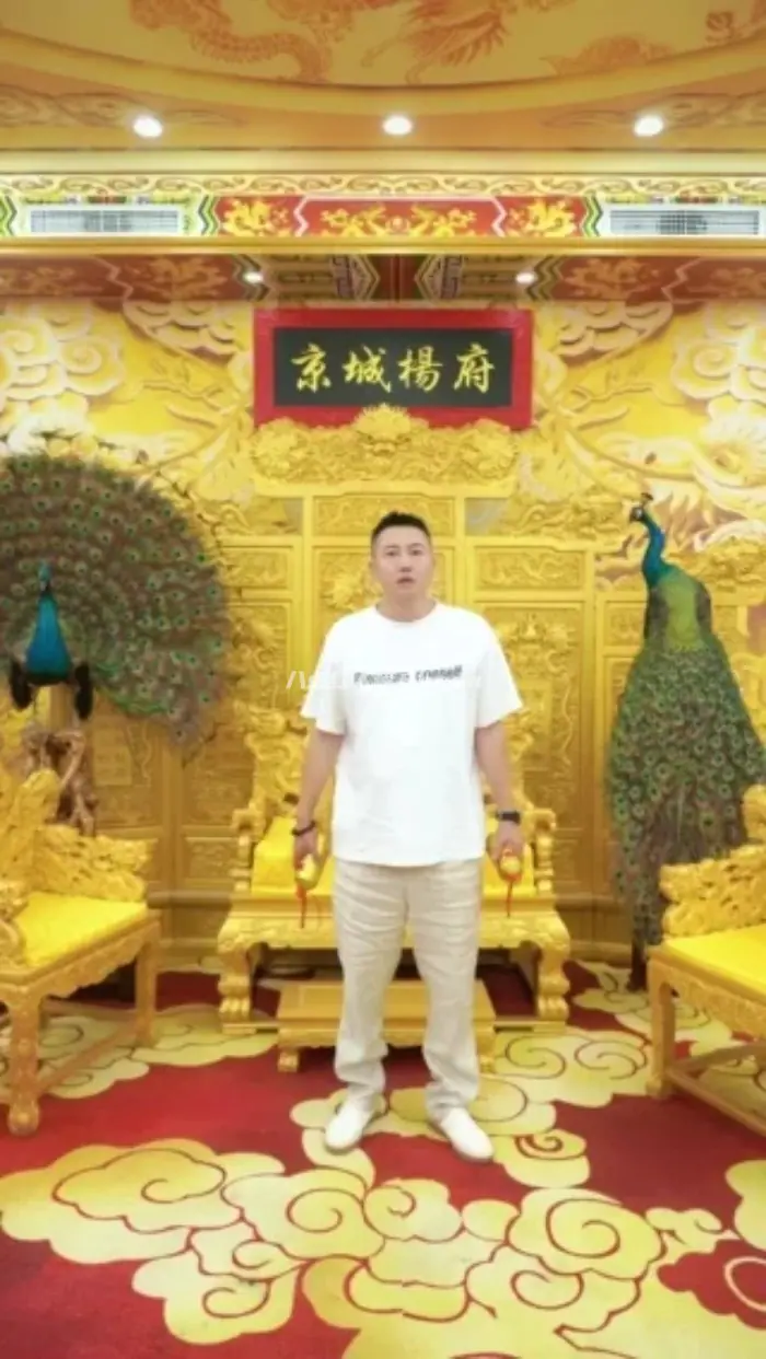 杨公子京城杨少