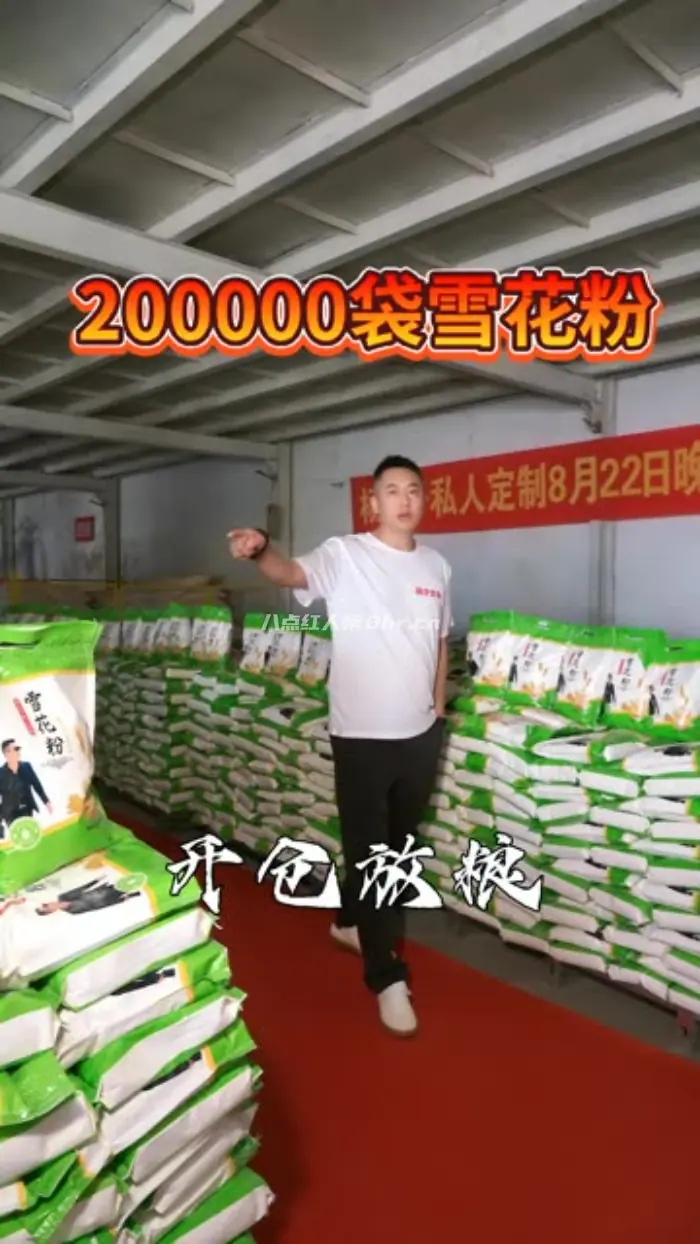 杨公子京城杨少