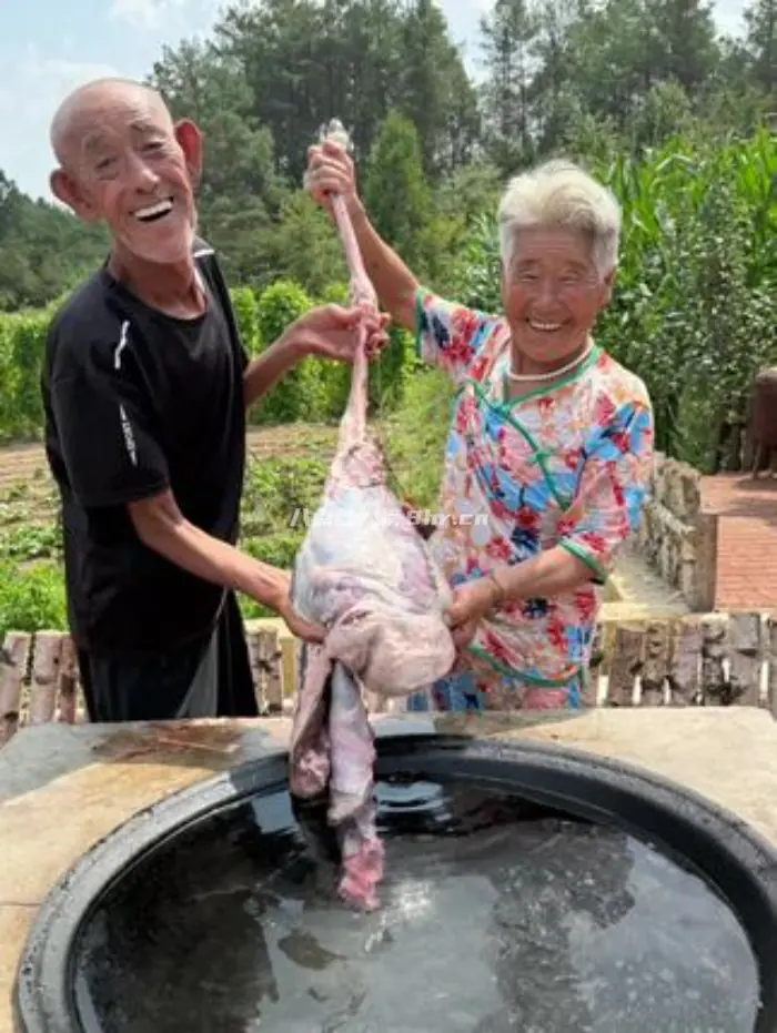 老两口幸福生活