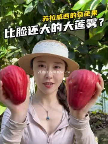 抖音思宝儿没在新西兰个人资料简介