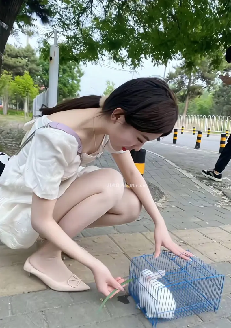 路边蹲在地上喂兔子的女生是谁