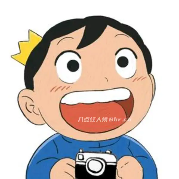 王子不会拍个人资料和简介