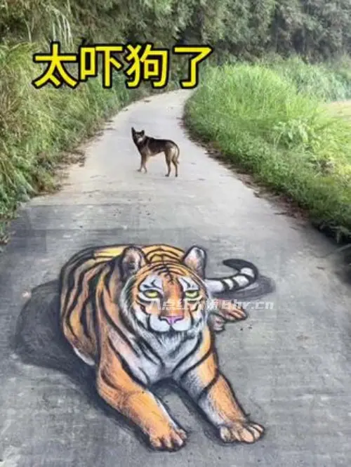 彩绘CH张世先个人资料和简介