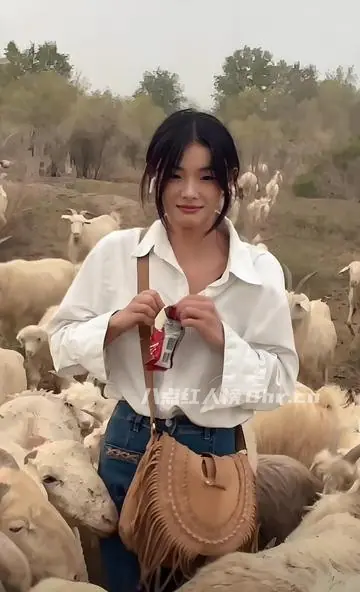 灰太狼的羊惠然个人资料简介和经历