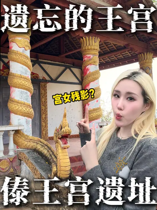 梦璐没在怕