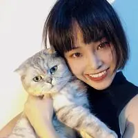 自律一只猫