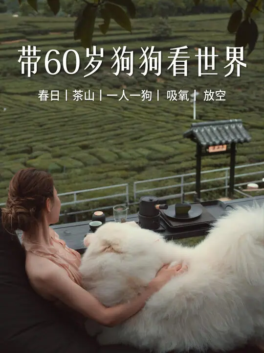 沐公子和julie