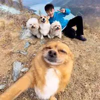 柯铭