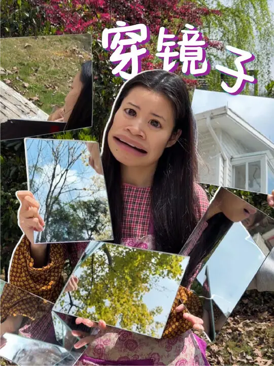 氧化菊