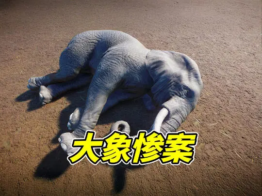 勾魂公狒狒
