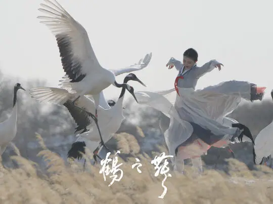 江寻千