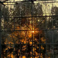 种地吧陈少熙