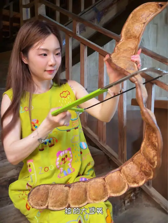 小宇菇菇