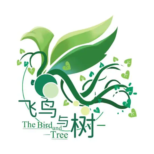 小红书MCN飞鸟与树