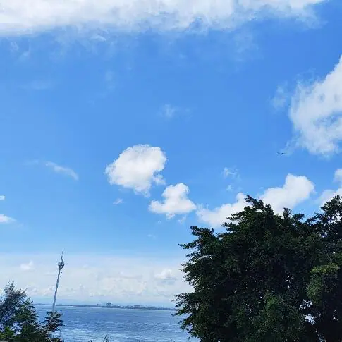 小红书MCNLL