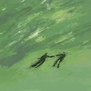 小红书MCN曼杰科技