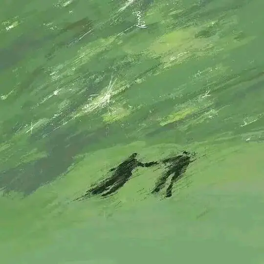 小红书MCN曼杰科技
