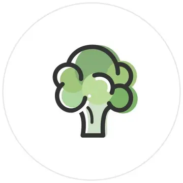 小红书MCN秀猫时代