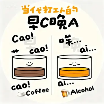 小红书MCN早C晚A