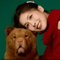 一份刘肉煲