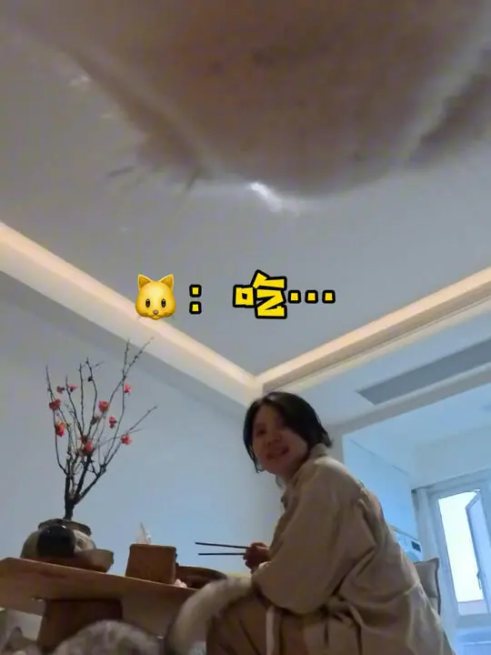 爱逛街的小阿咪