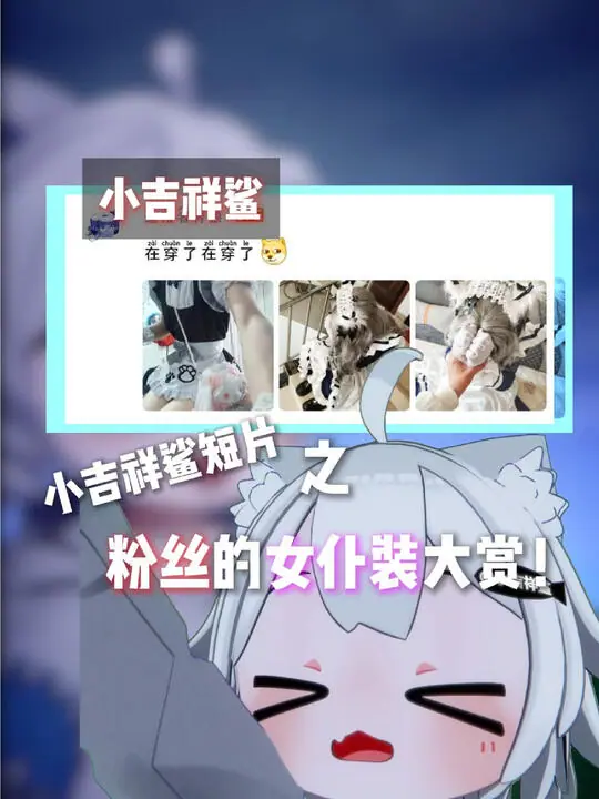 小吉祥鲨